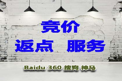 案例解析：竞价SEM托管助力电商增长